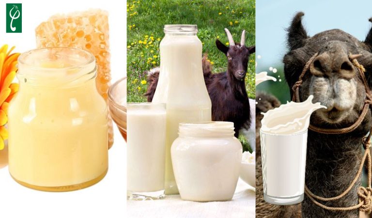 Một số loại sữa phổ biến được sử dụng để gia công mỹ phẩm