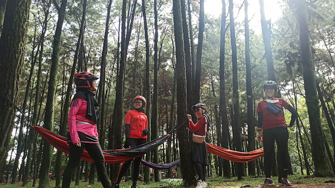 Hutan Pinus Cibubur, tempat wisata di Jakarta