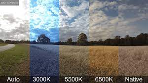 What is White Balance — How it Works and Why It Matters