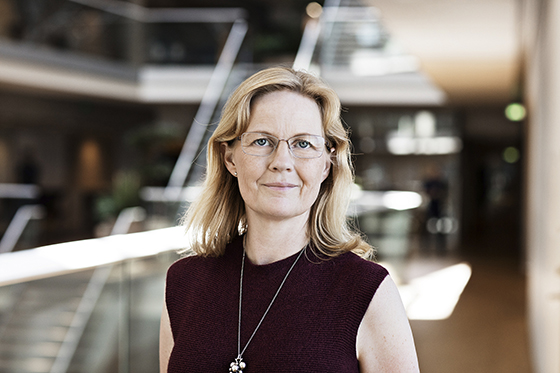 Rikke Hvilshøj CEO Danish IT
