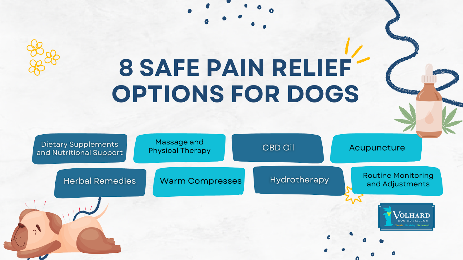 8 safe pain relief options for dogs