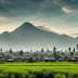  What should be done in Kabupaten Pemalang