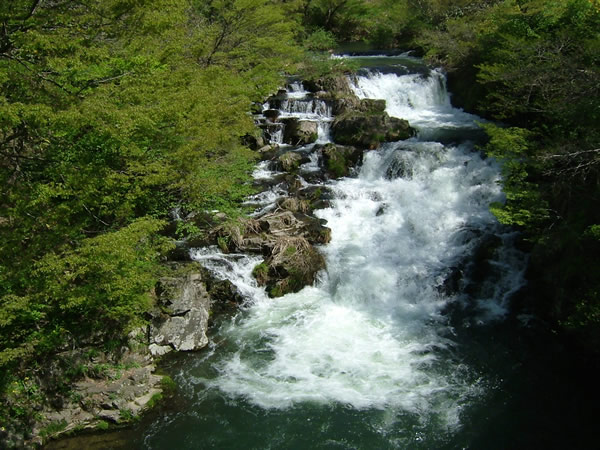 会津東山温泉　伏見ヶ滝の写真