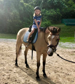 pony ride in singapore