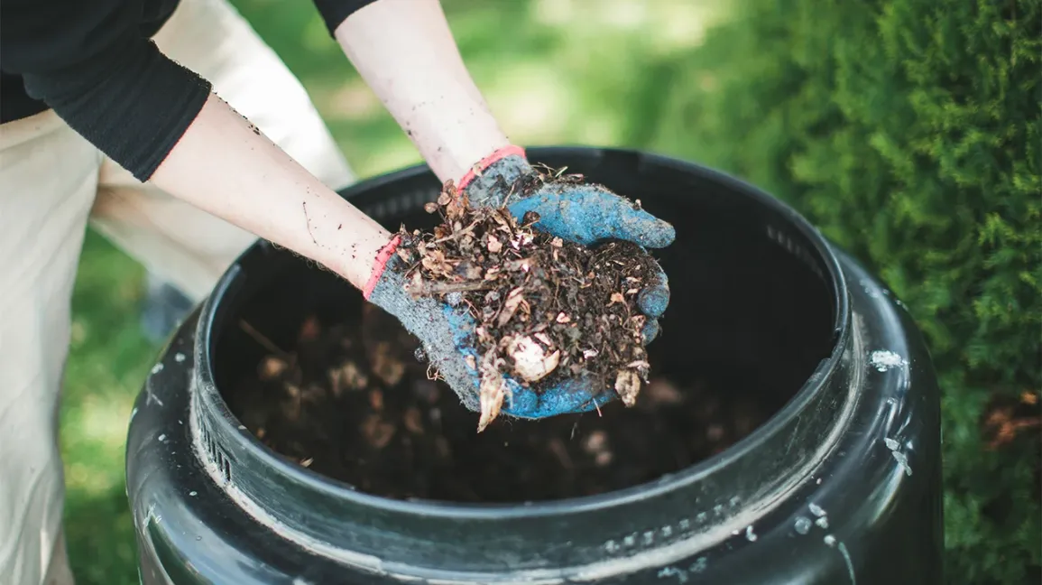 Add compost
