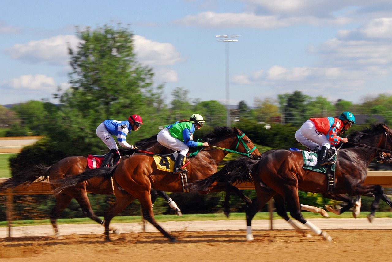 Mastering Horse Race Betting