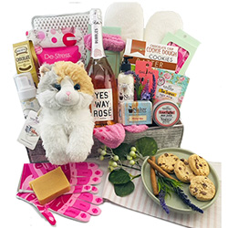 ultimate spa gift basket for retirees