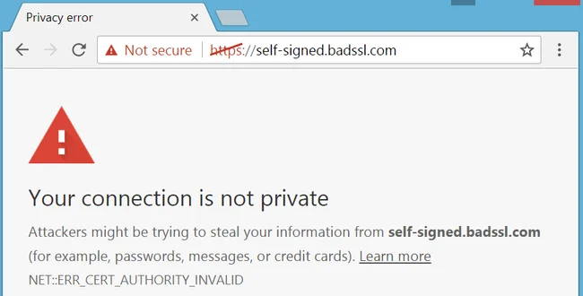 Image of an SSL certificate issue