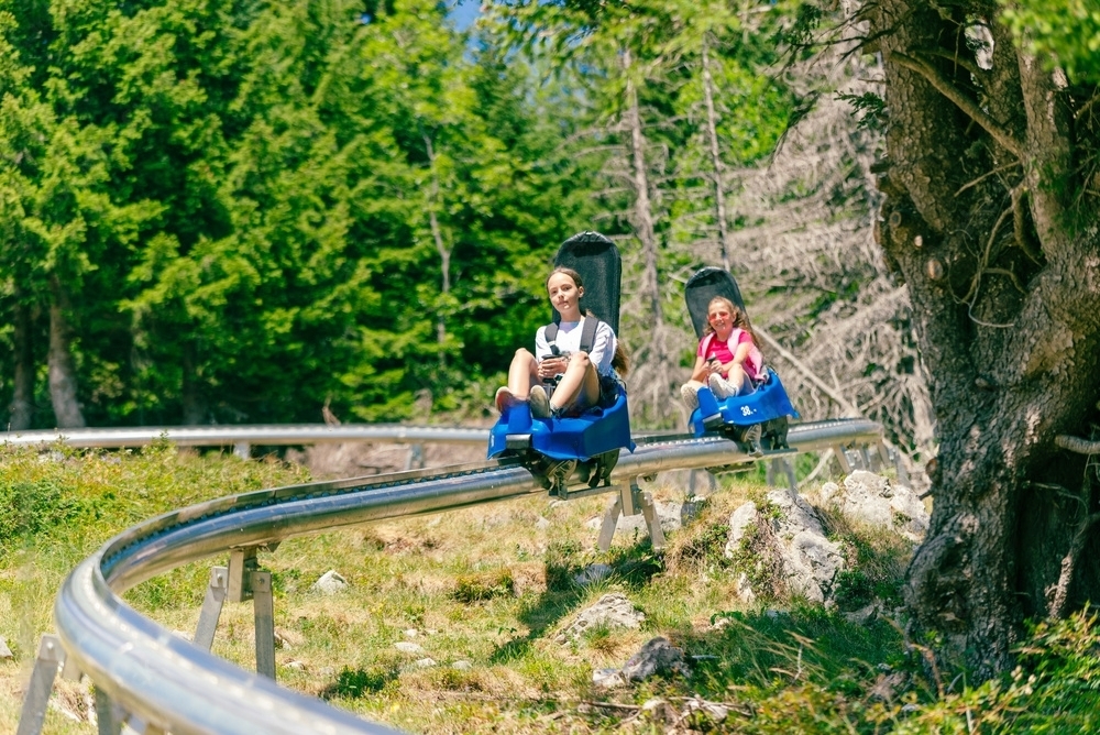 Ride the Eagle Coaster at Cypress Mountain