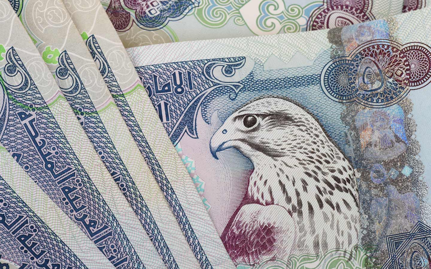 UAE 500 Dirham note