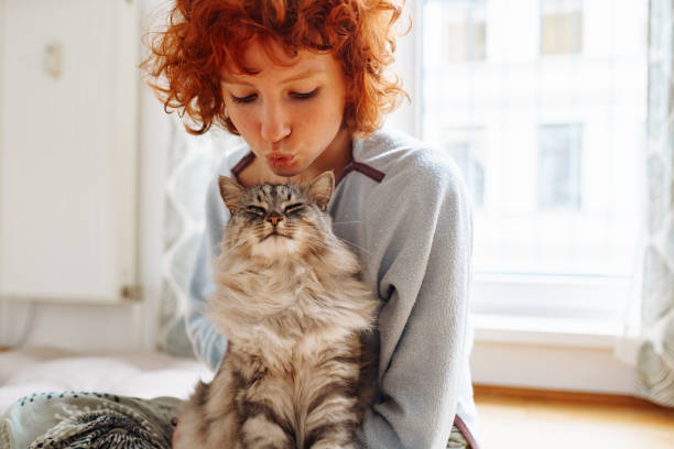 Navigating the Quirks of Feline Life: Tips for Cat Owners