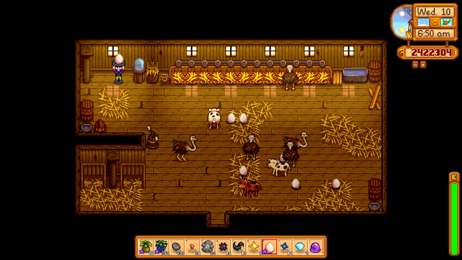 Ostrich Stardew Valley