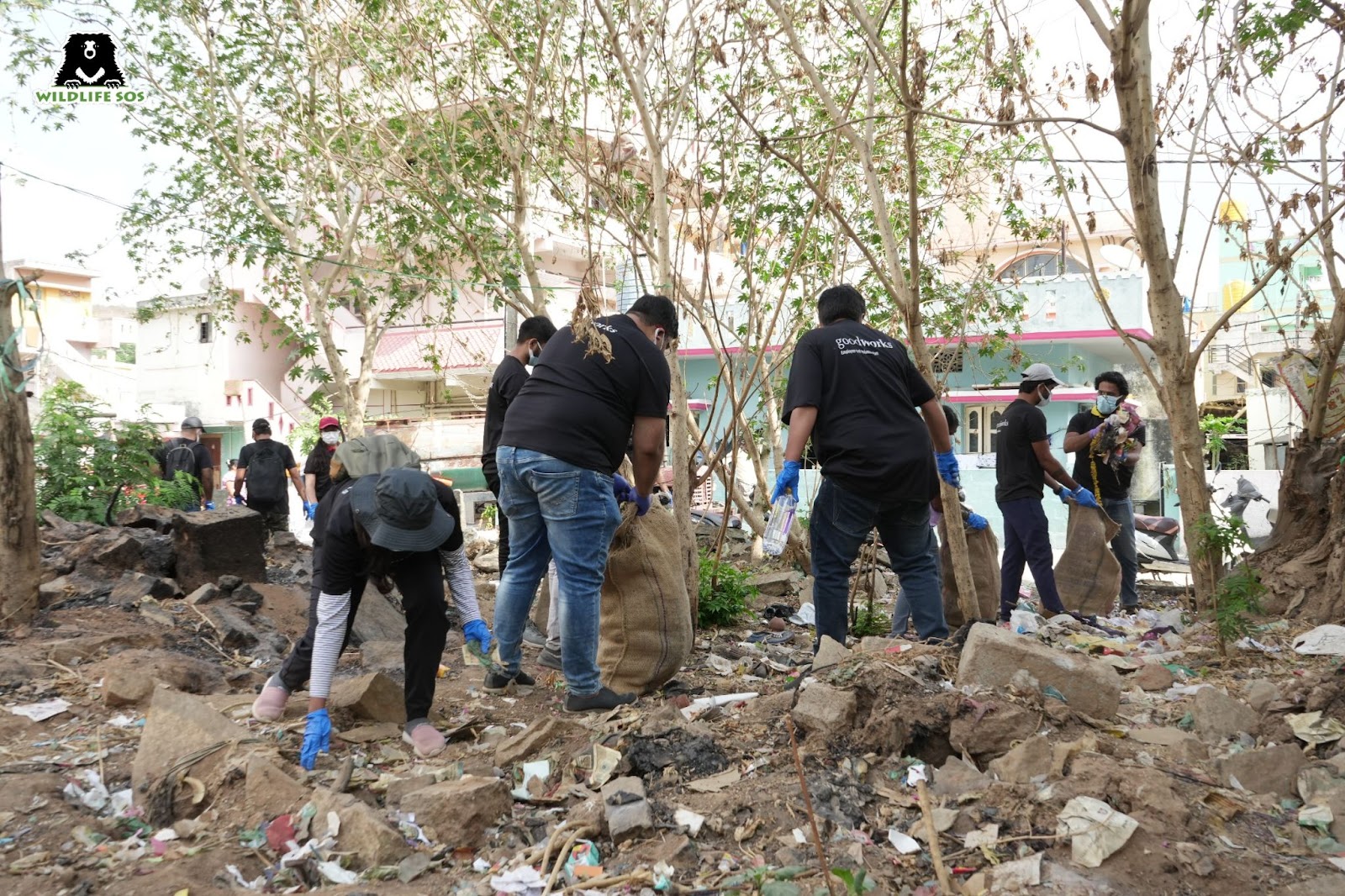 Clean up drive in Bangalore