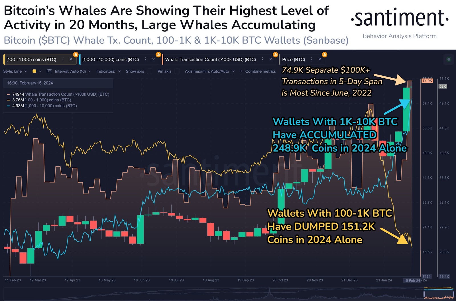 Bitcoin whale activity
