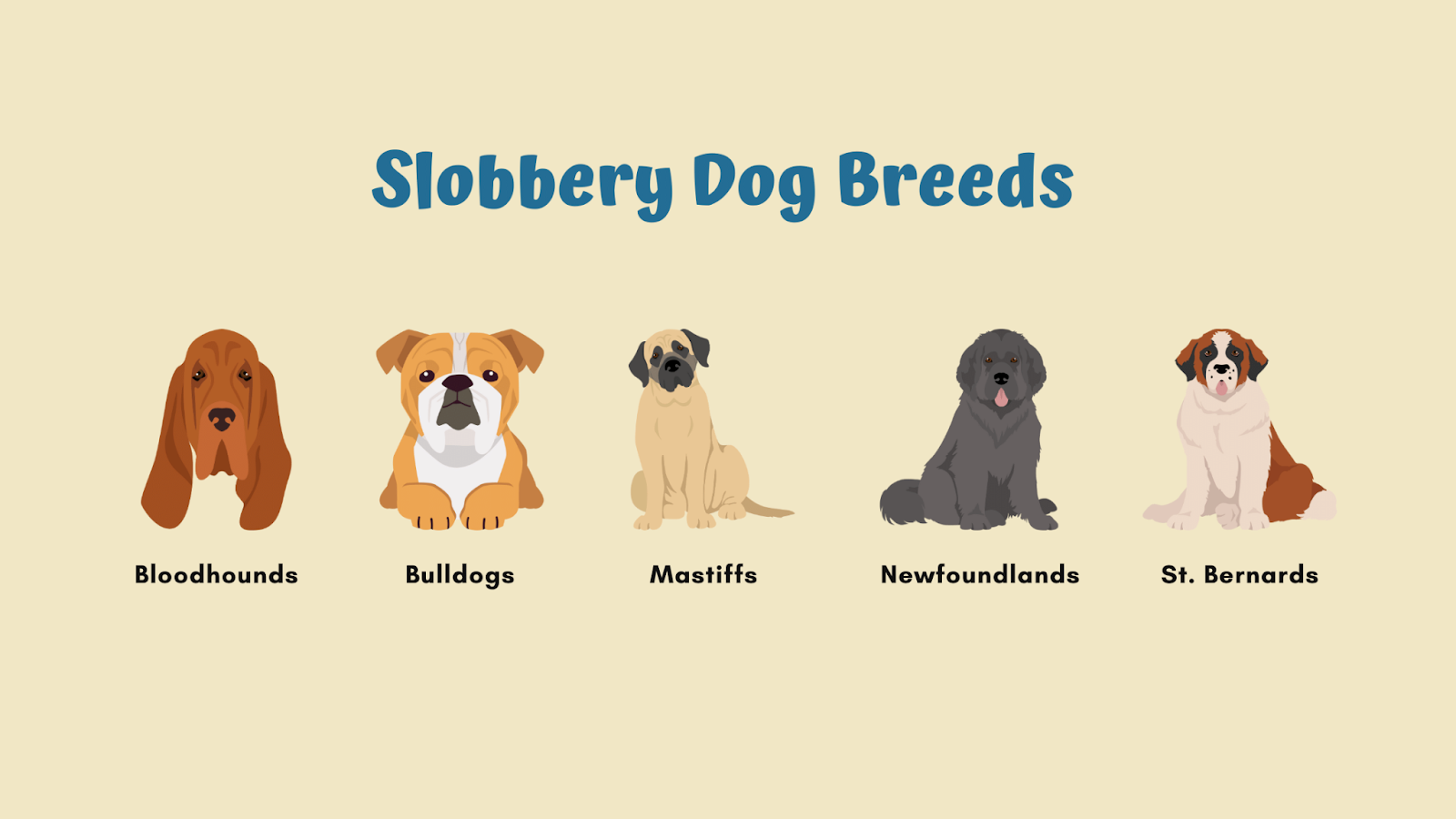 Slobbery dog breeds