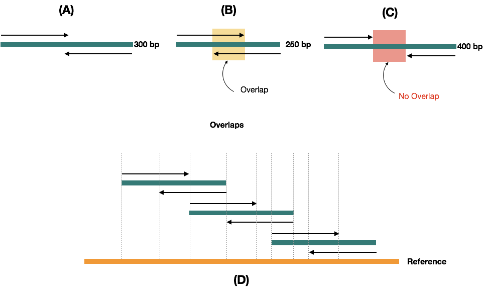 Diagram of paired end sequencing.