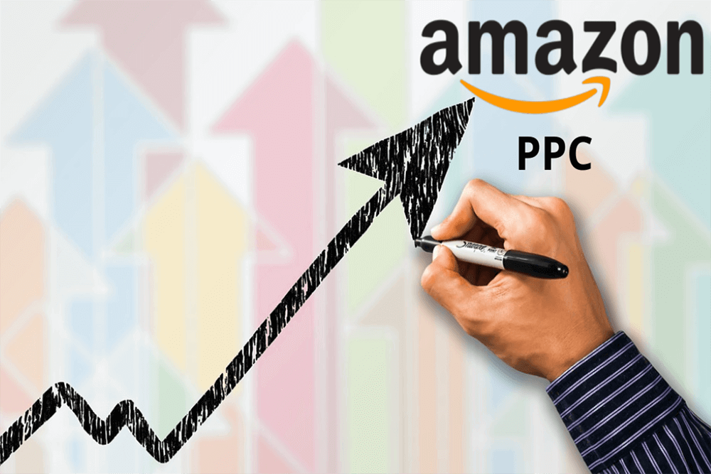 Amazon PPC Consultant