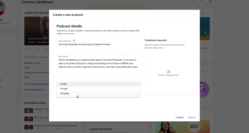 Podcast details window where you can add your podcast's Title, Description, Visibility and Thumbnail