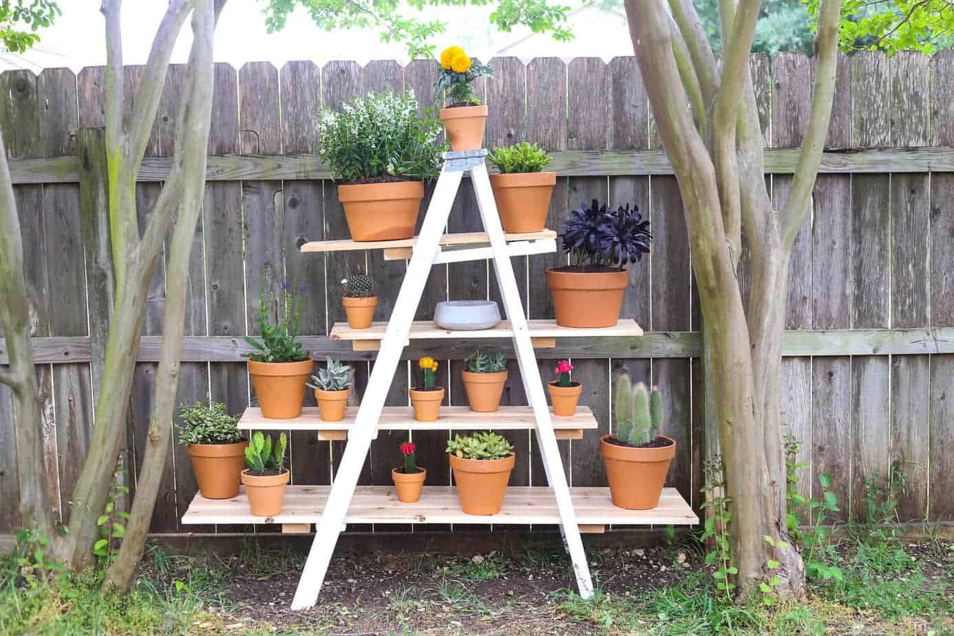 Plant Ladders