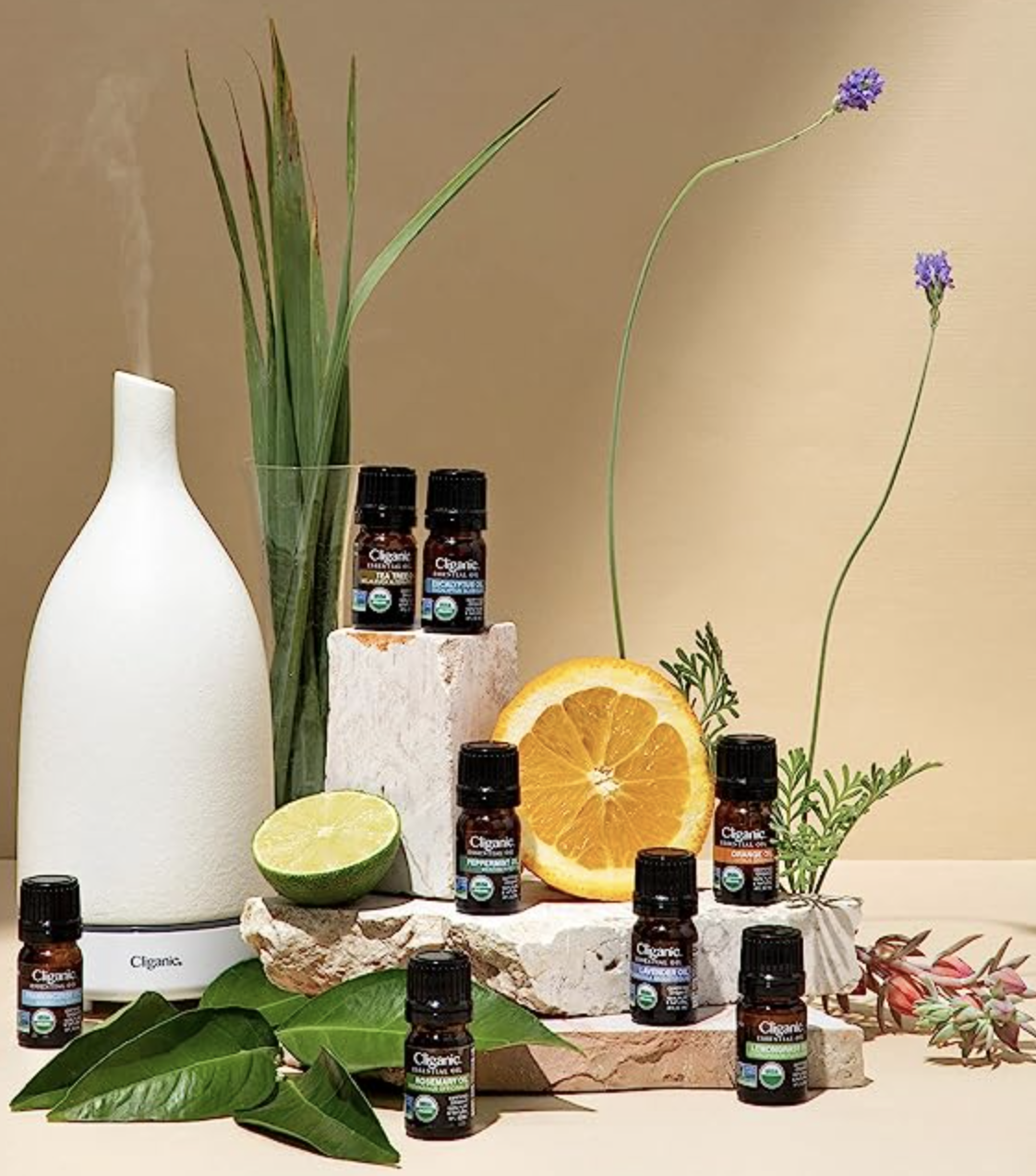 a display of essential oils and diffuser with an orange, lime, and various flowers and herbs