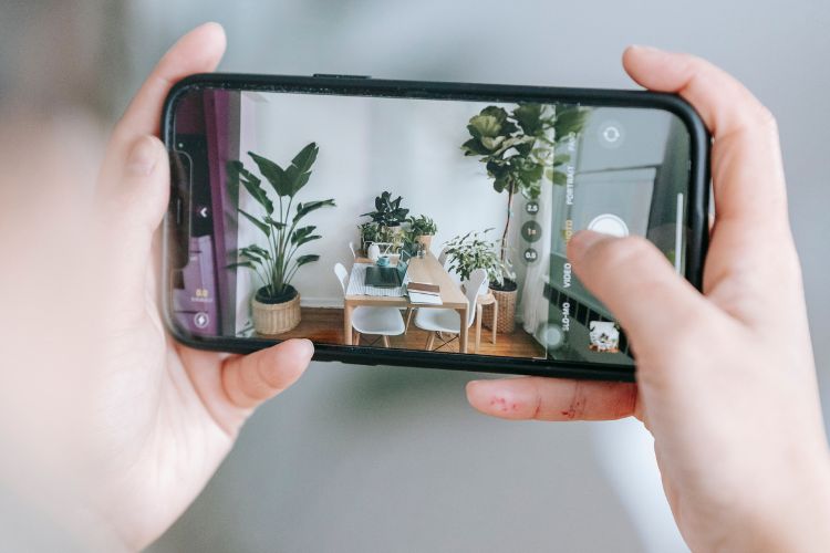 Woman taking photo of potted plants