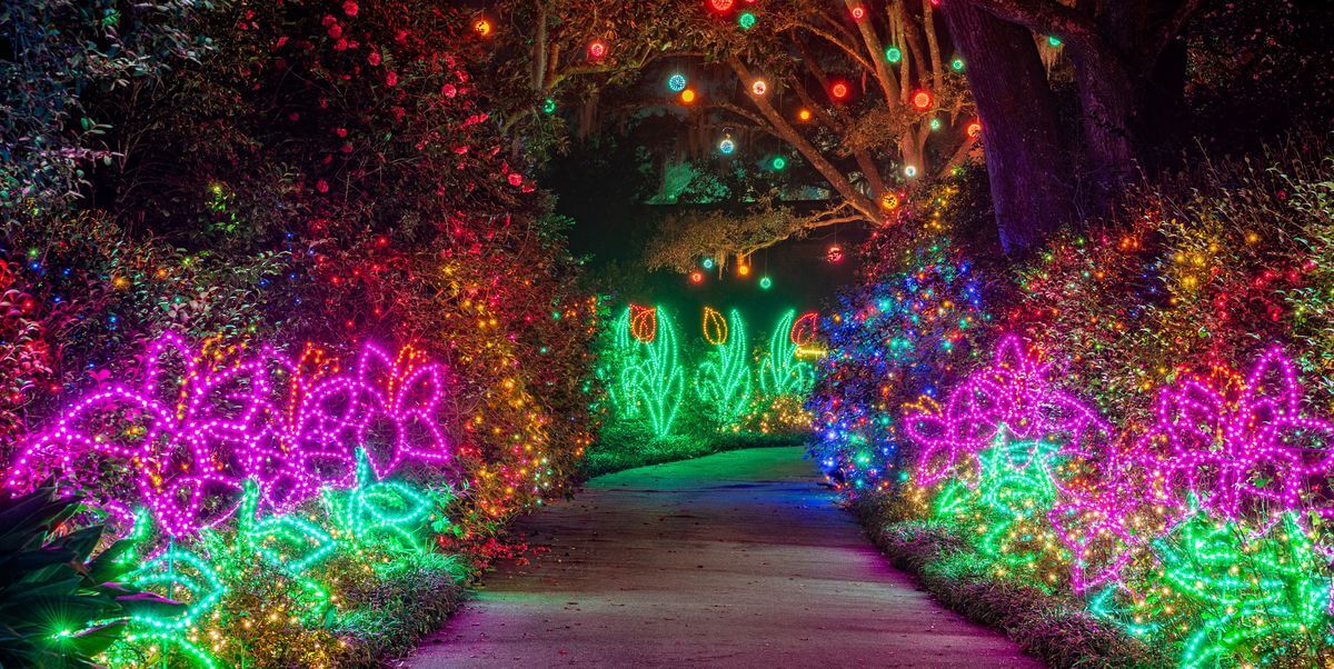 Outdoor Valentine Decorations: Charming Pathways and Walkways