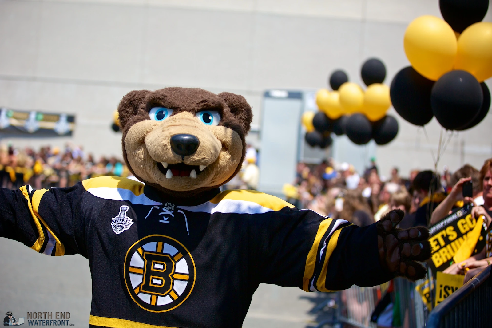 Top 10 Mascots in the NHL - Bellisario College Student Media