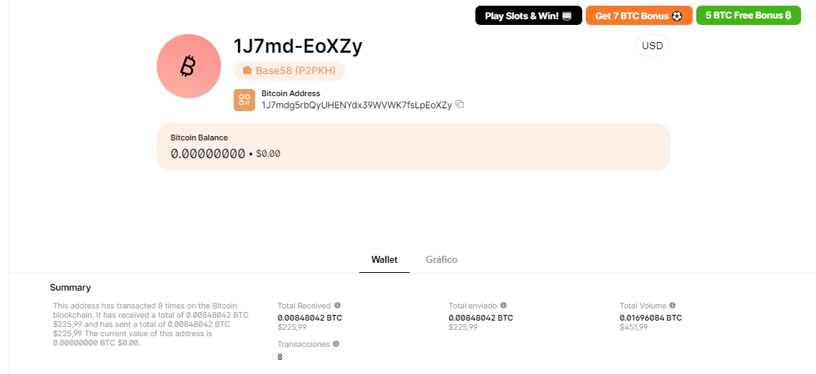 The Bitcoin address looks like this in a blockchain explorer [Blockchain.com]