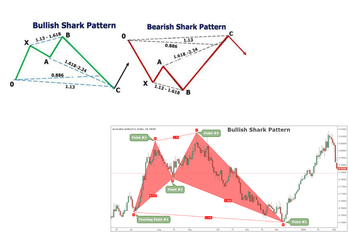 Shark Harmonic Pattern