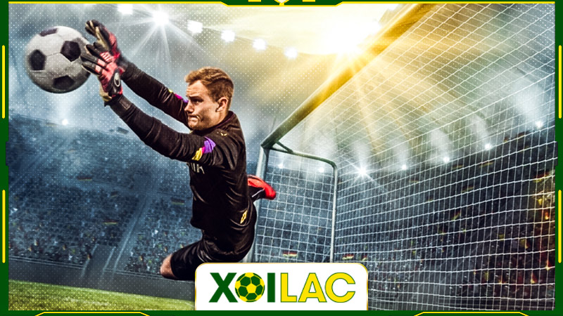Xoilac TV cập nhật và phát trực tiếp đến người hâm mộ bóng đá chất lượng