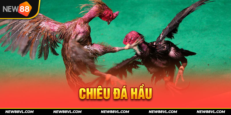 Chiêu đá hầu