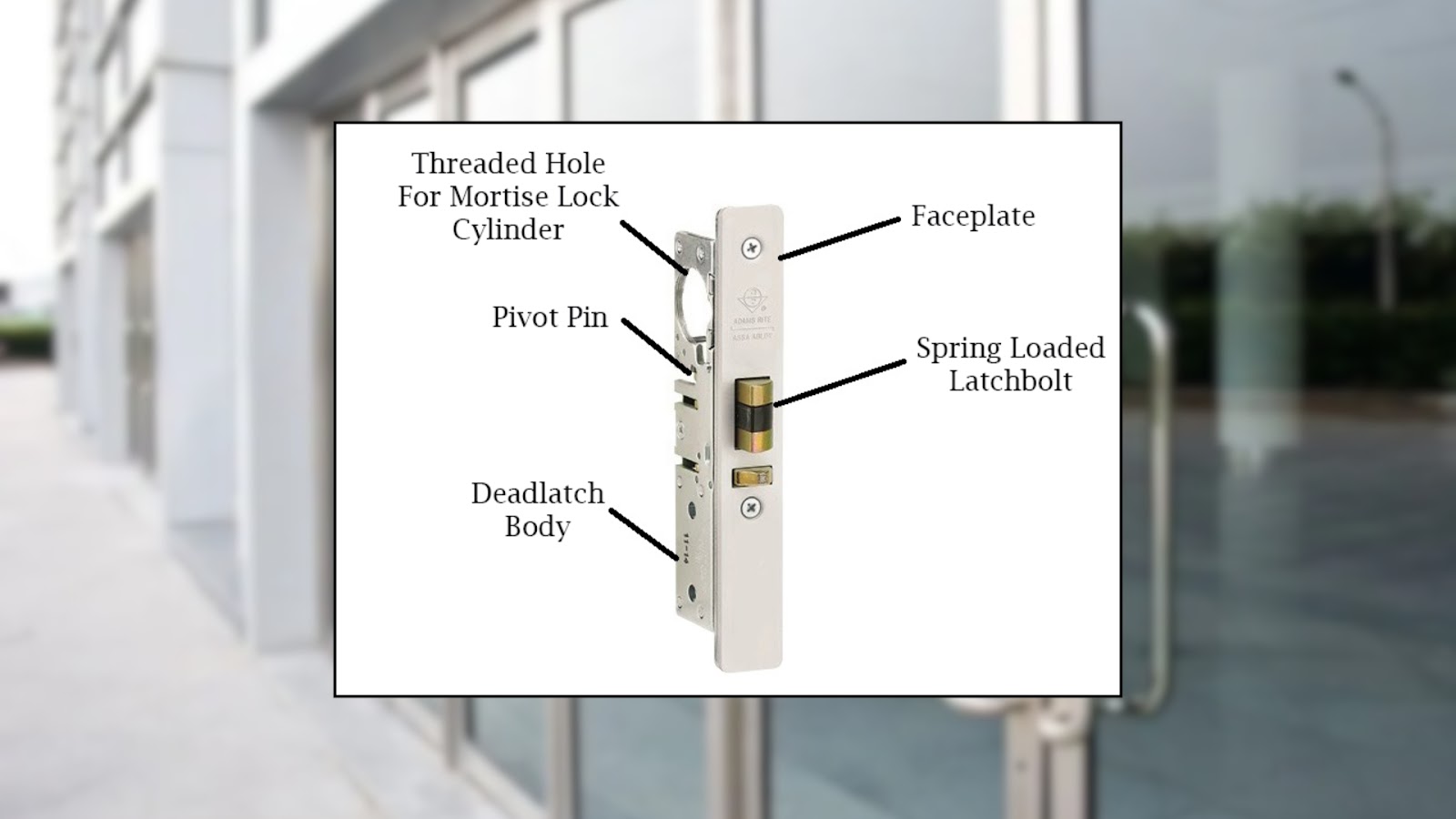 Illustration of a deadlatch mechanism with parts labeled. Visible components include the faceplate, a spring-loaded latchbolt, the deadlatch body, a pivot pin, and a threaded hole for a mortise lock cylinder.