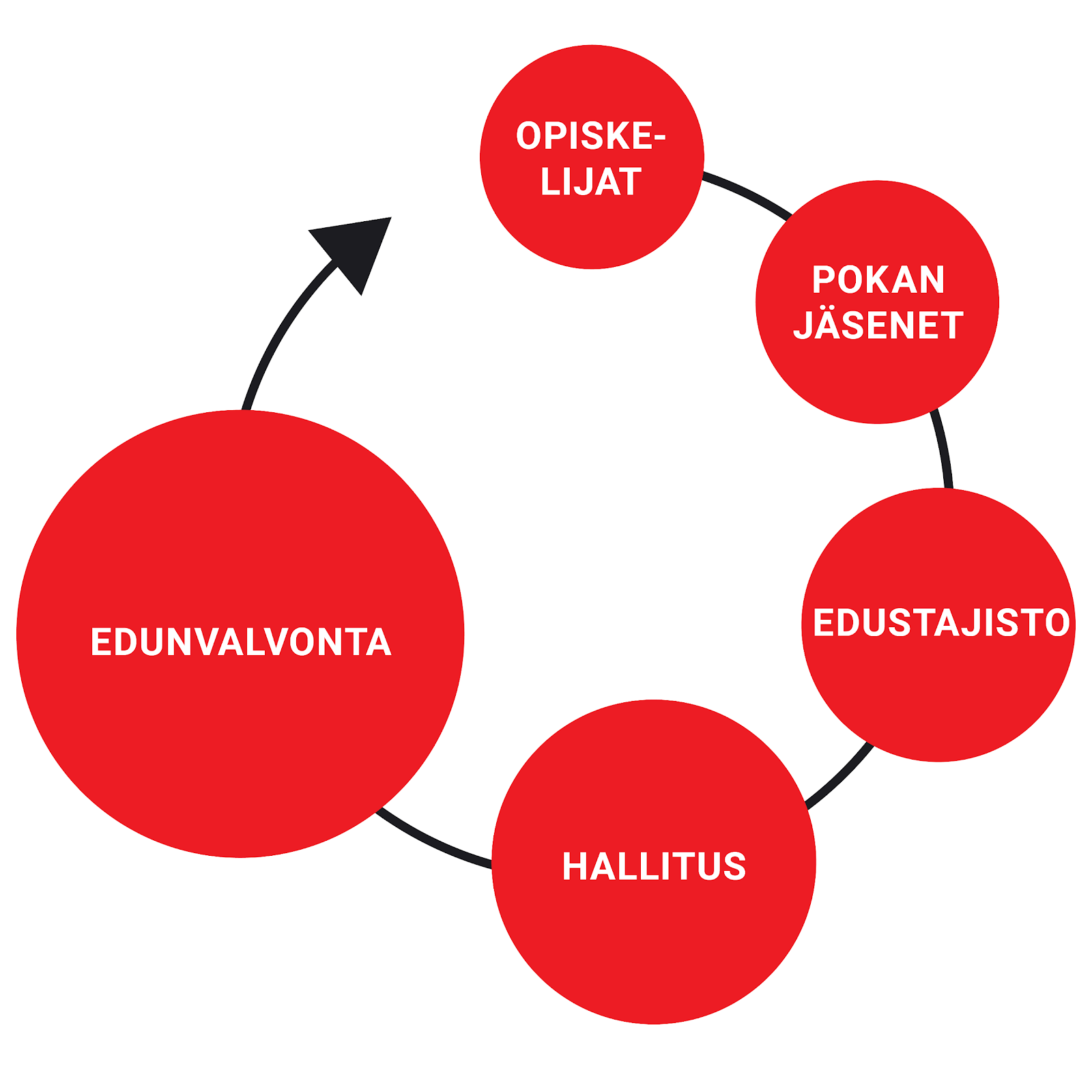 Ympyränmallinen kaavio: opiskelijat > POKAn jäsenet > edustajisto > hallitus > edunvalvonta > opiskelijat