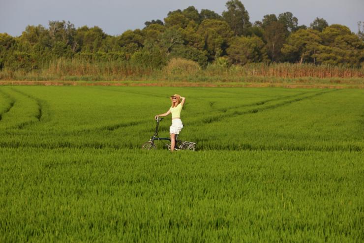 En bici por arrozales