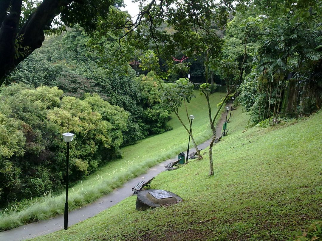 Con đường trên đồi Mount Faber