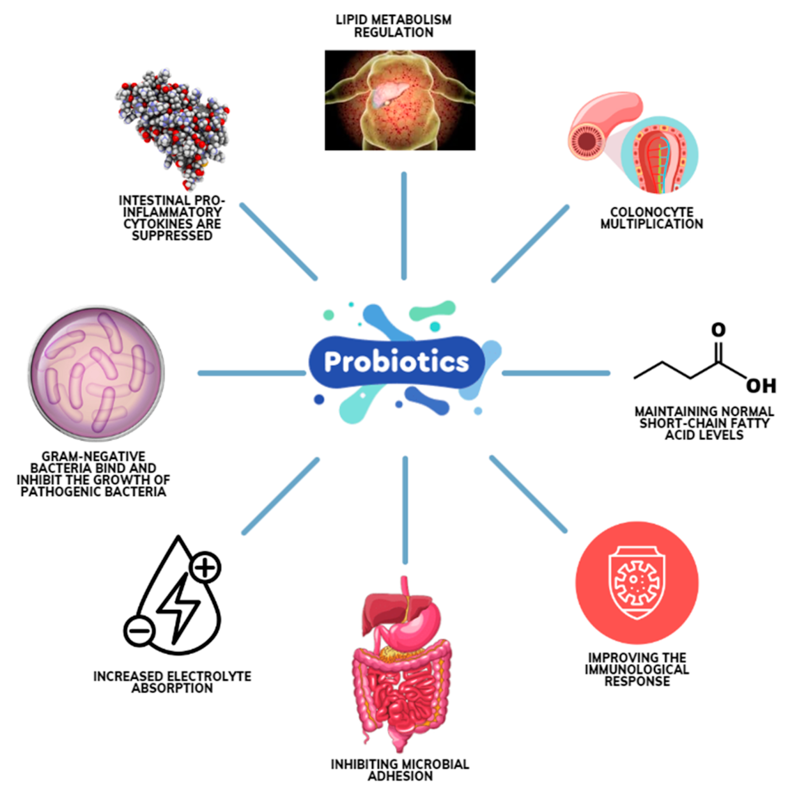 How can probiotics enhance immune function?
