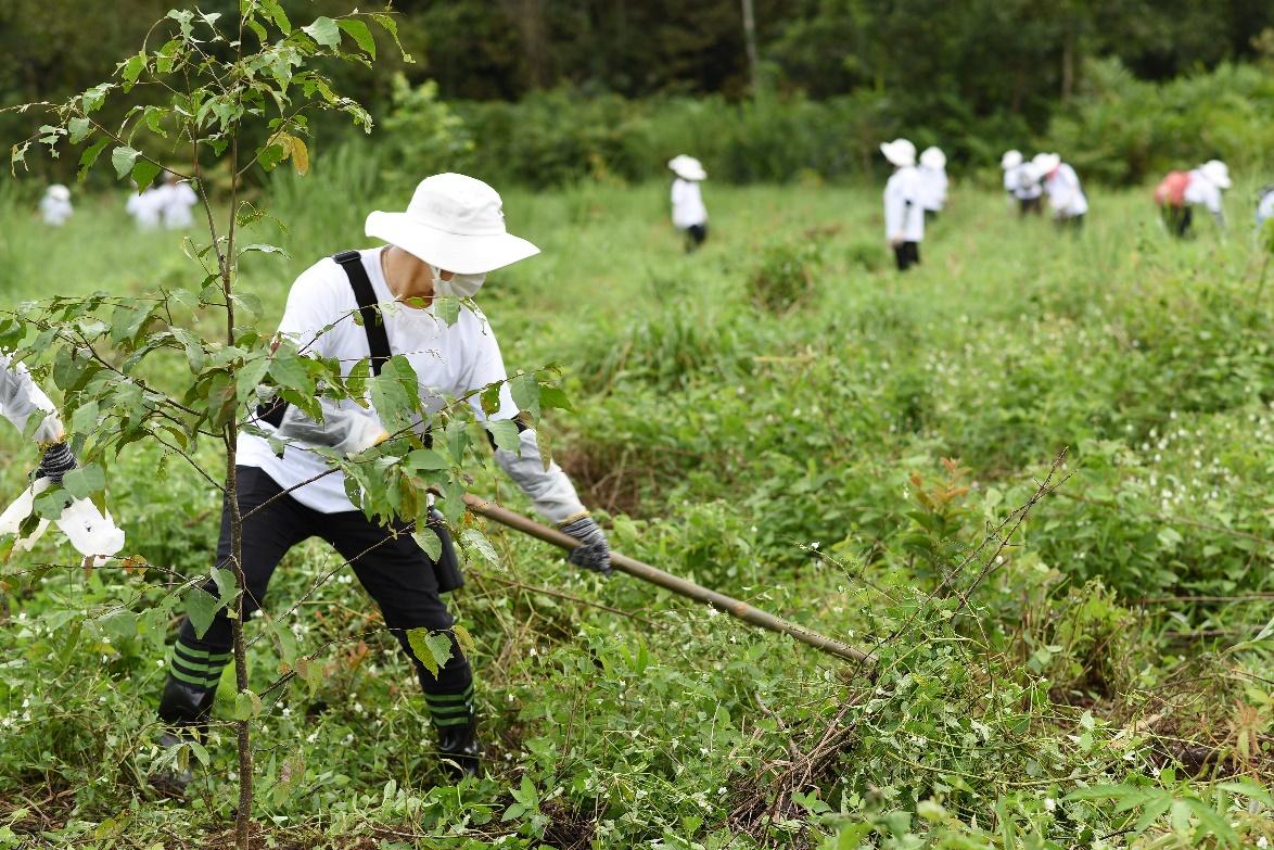 A group of people working in a field

Description automatically generated