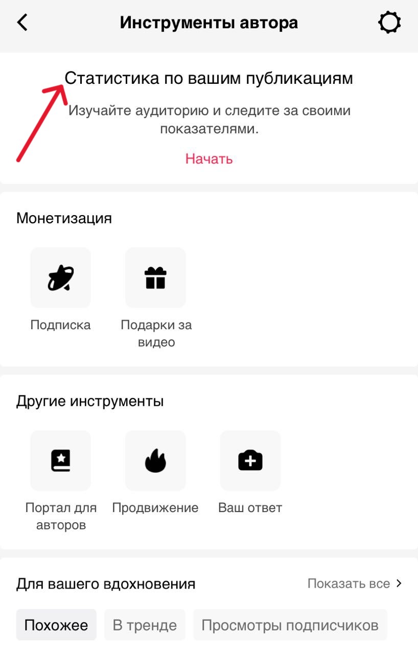 Статистика по публикациям в ТикТок