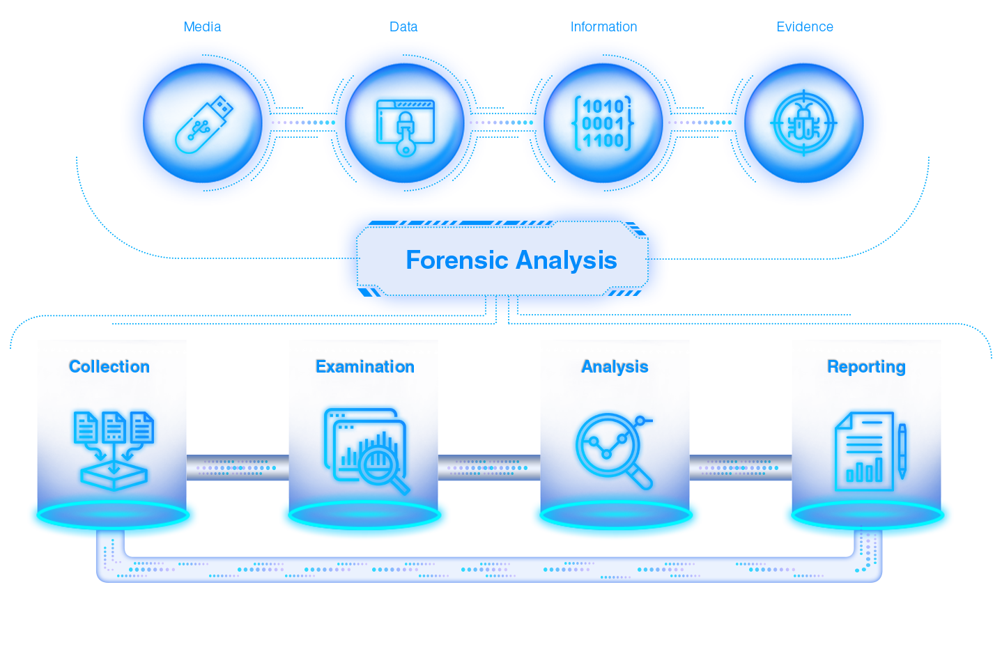 Top Cyber Security Career Paths