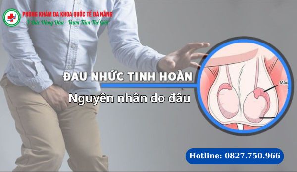 Nguyên nhân gây đau tinh hoàn