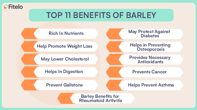 Health Benefits Of Including Barley In Your Diet