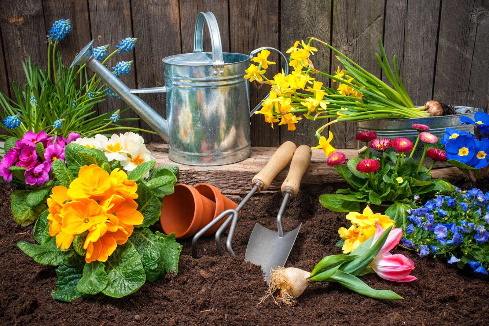 Gardening Supplies