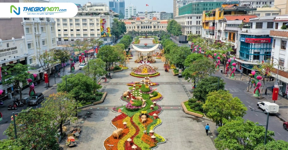 Đường hoa Nguyễn Huệ 2024 có gì đặc sắc?