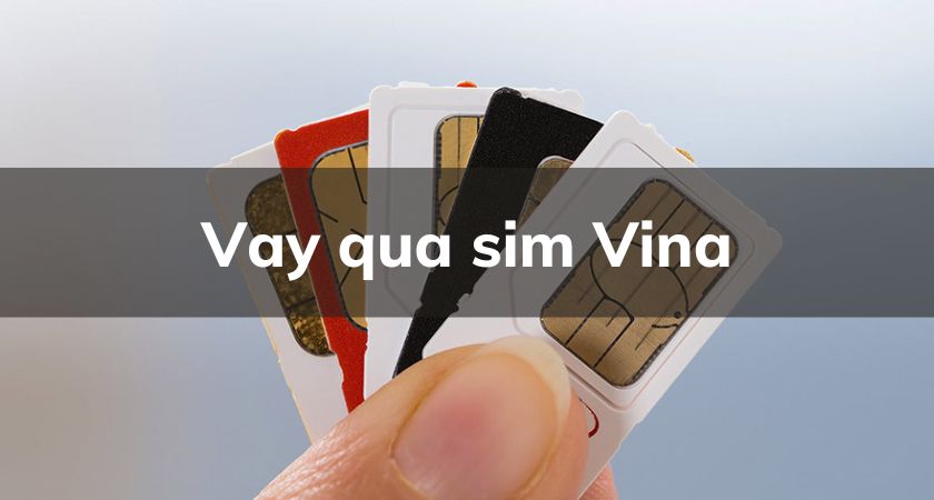 vay qua sim vina