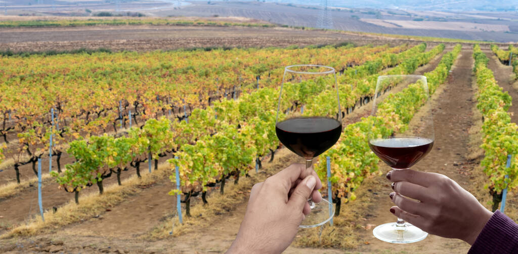 best winery tours melbourne