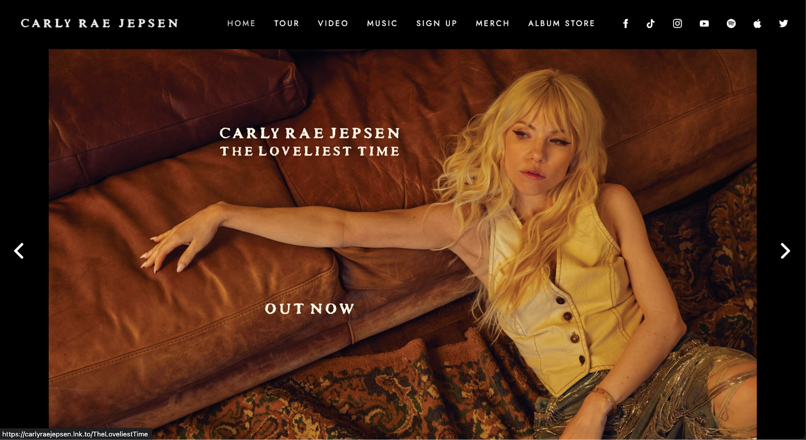 musician website example, carly rae jepsen