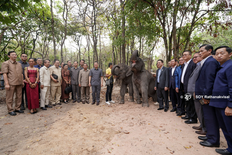 Laos Donates Two Elephants 