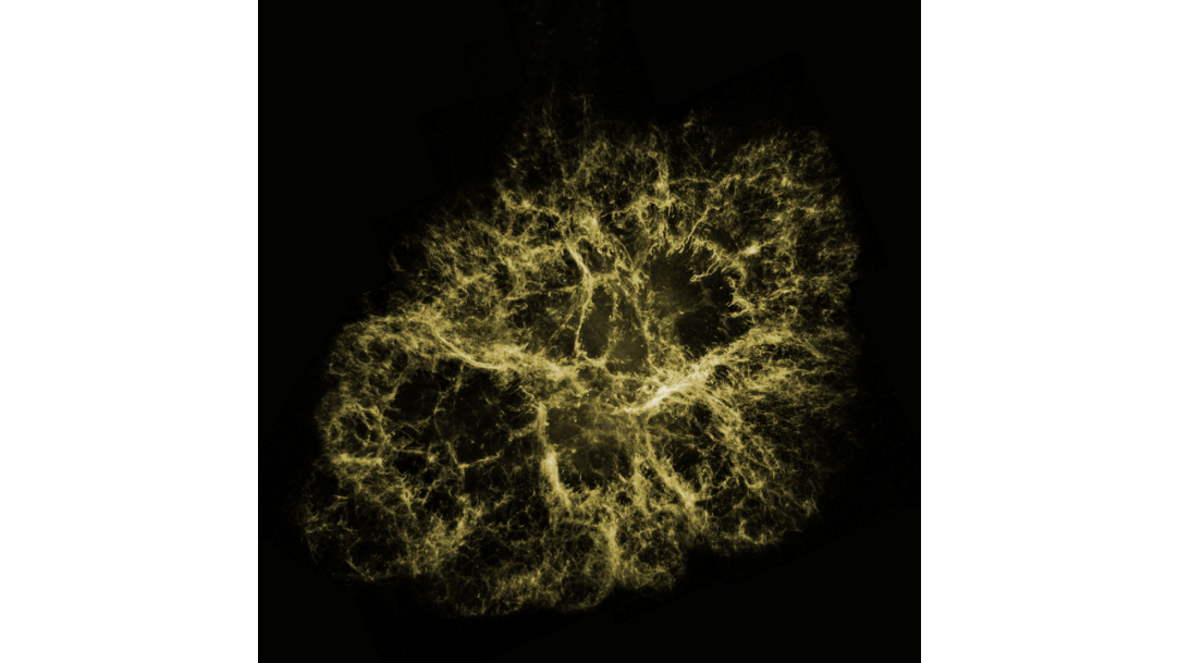 Optical View of Crab Nebula