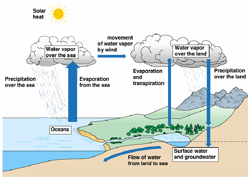 Teacher water cycle