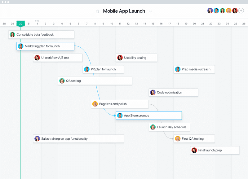 Project Management Tools for Asana